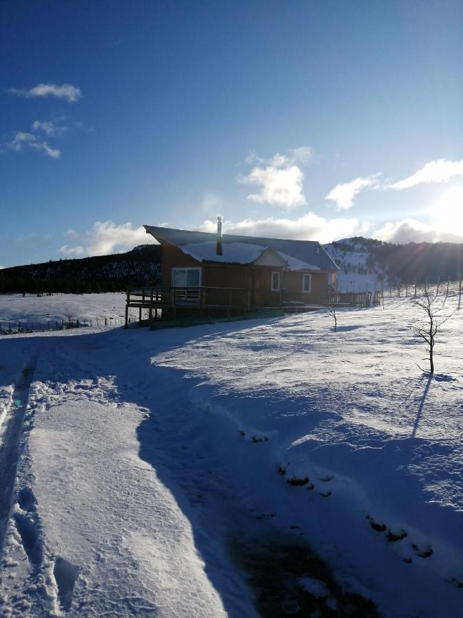 Ventisca Sur * Coyhaique