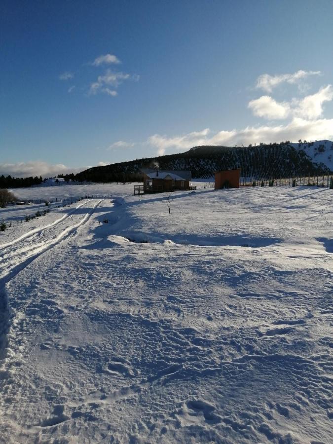 Ventisca Sur Country house Coyhaique