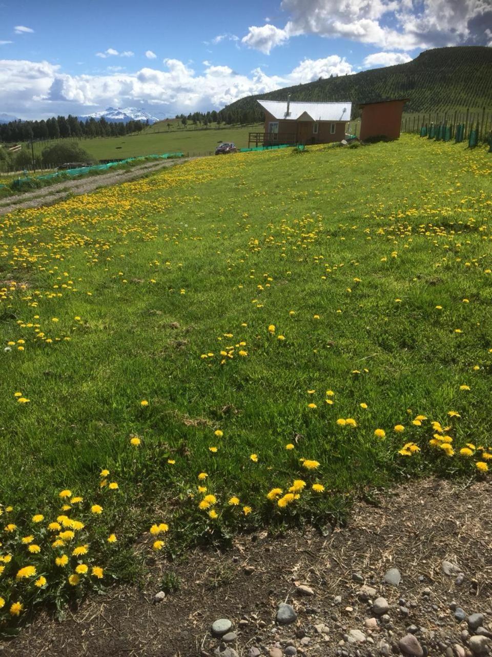 Chácara Ventisca Sur Coyhaique